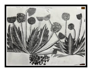 IMG_0072-copy.HEIC-1