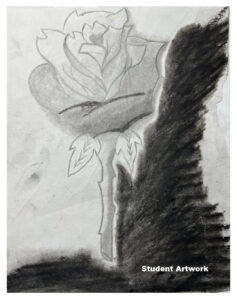 IMG_0076-copy.HEIC-1